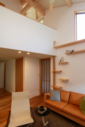 猫と暮らす住まいづくり