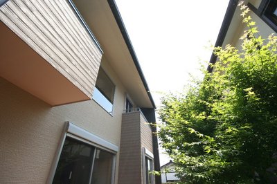 東西に長いCAN・BOX 南面には庭を設けています