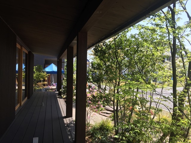 庭の木々を楽しむ