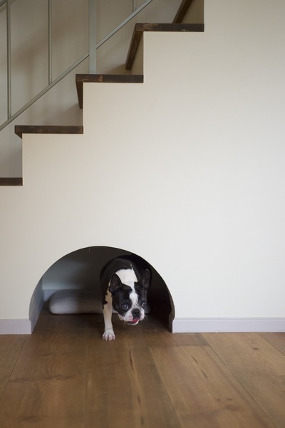 階段下のトンネルの正体は…
愛犬の遊び用トンネルでした！羨ましいです♪