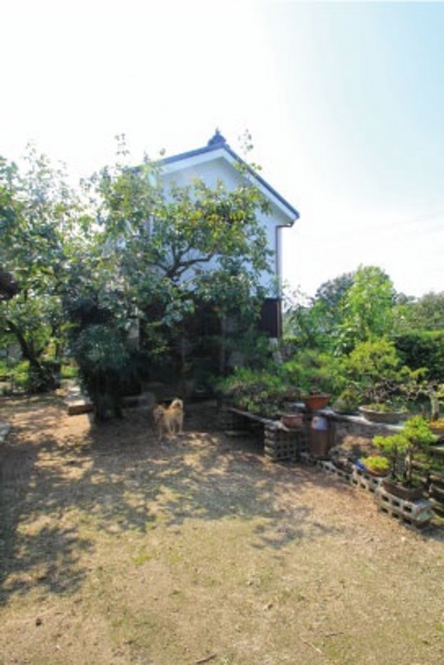 ダイニングの南面に設けたサンデッキから中庭を臨む。 ダイニングの南面に設けたサンデッキから中庭を臨む。