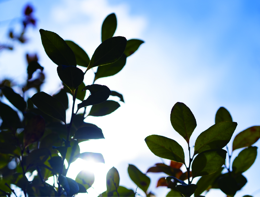 ささやかな贅沢と遊び心を満たせる「ミニマム」な暮らし